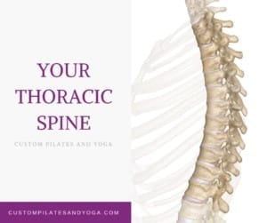 your thoracic spine