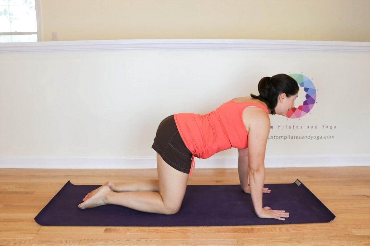 Use the Cat/Cow Exercise to Relieve Back Pain and Strengthen Your Core